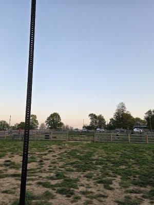 Idlewild Dog Park