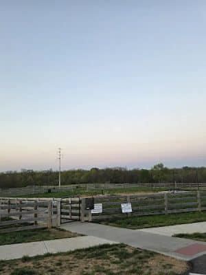 Idlewild Dog Park
