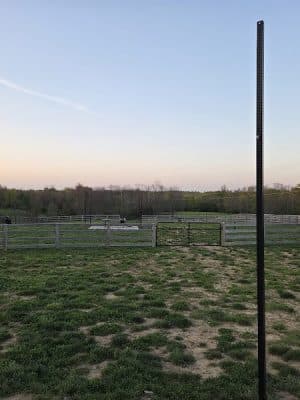 Idlewild Dog Park