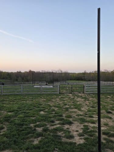 Idlewild Dog Park