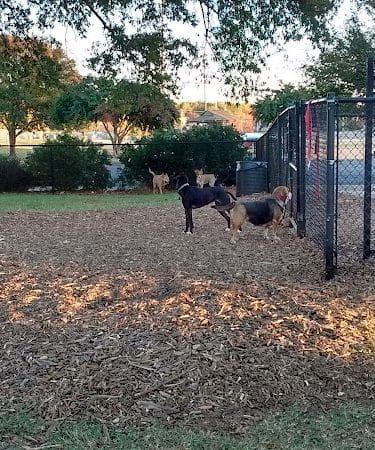 Jiggs Askew Memorial Park
