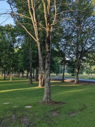 Kerr Station Park - Cabot, AR