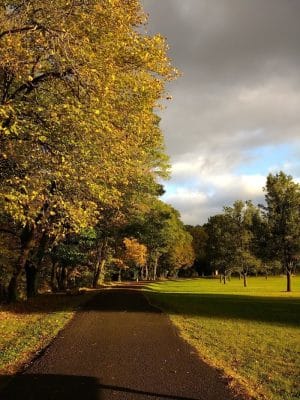 Cairo Dog Park