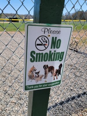 Cairo Dog Park