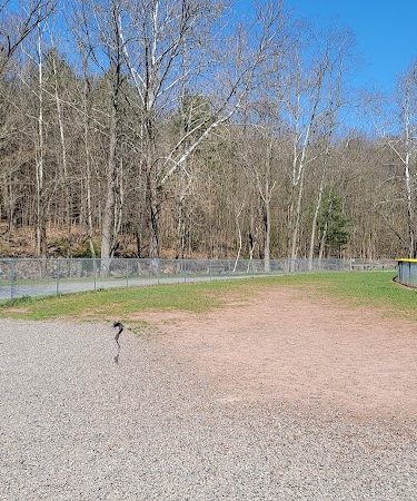 Cairo Dog Park