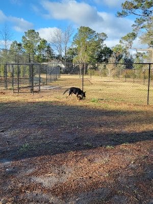 Dog Park and Tennis Court