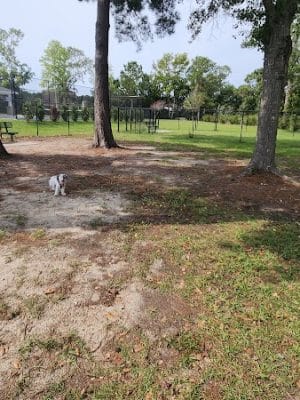 Dog Park and Tennis Court