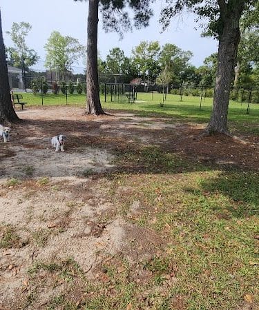 Dog Park and Tennis Court
