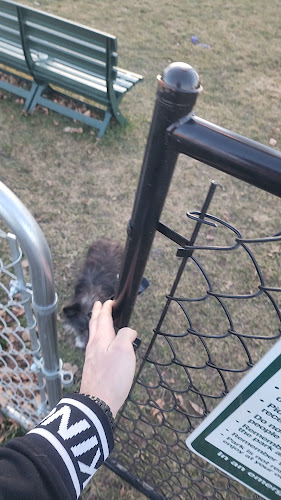 Cambridge Dog Park