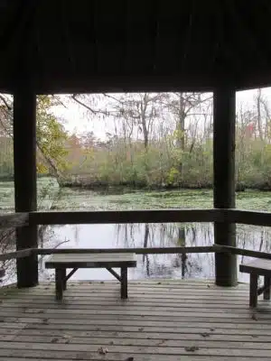 Senior Boardwalk
