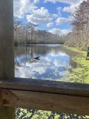 Senior Boardwalk