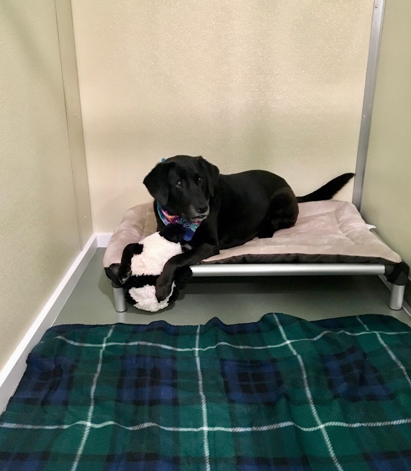 Jezzie's Place Rescue - Canaan, NH