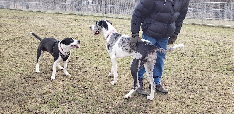Canandaigua canine campus pet memorial rock garden - Canandaigua, NY