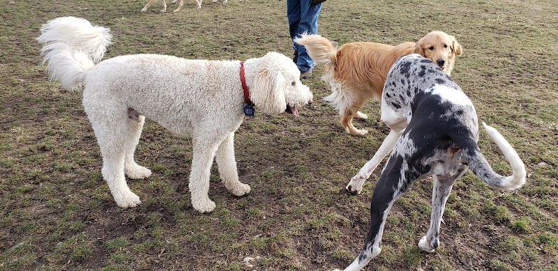 Canandaigua canine campus pet memorial rock garden - Canandaigua, NY