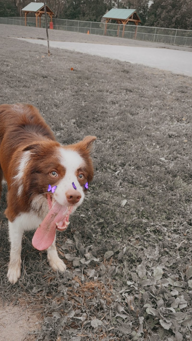Canandaigua canine campus pet memorial rock garden - Canandaigua, NY