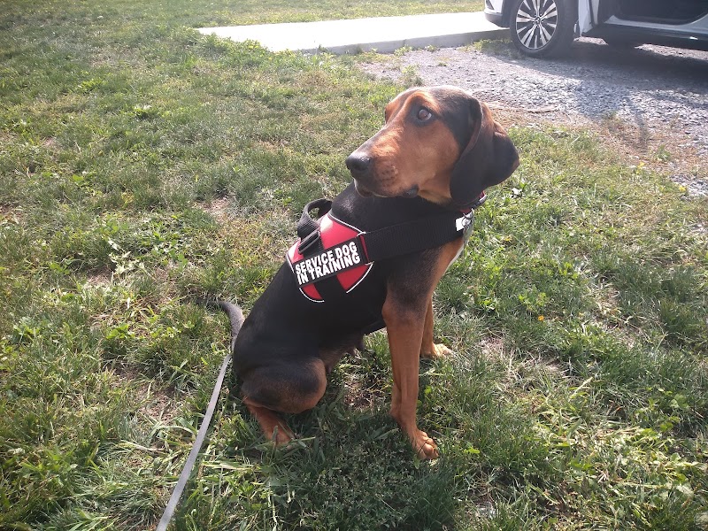 Canandaigua canine campus pet memorial rock garden - Canandaigua, NY