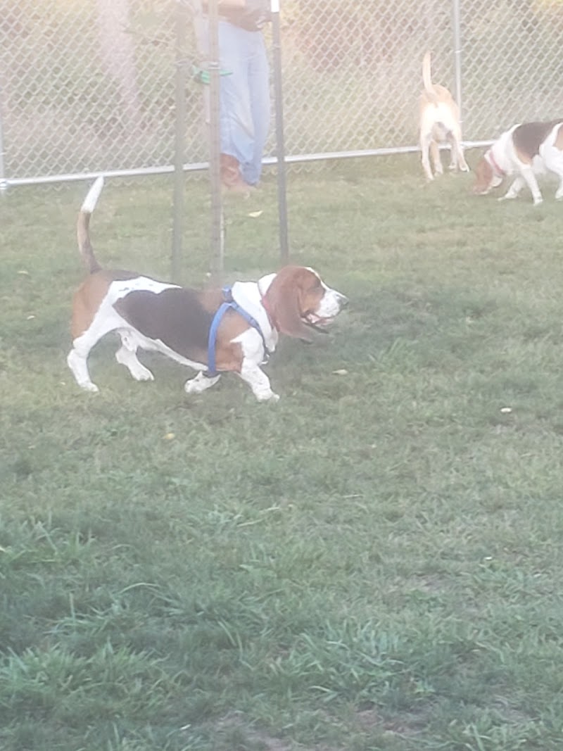Canandaigua canine campus pet memorial rock garden - Canandaigua, NY