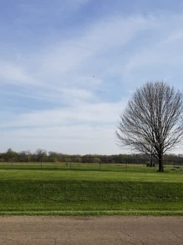 Dog Park - Canton, IL