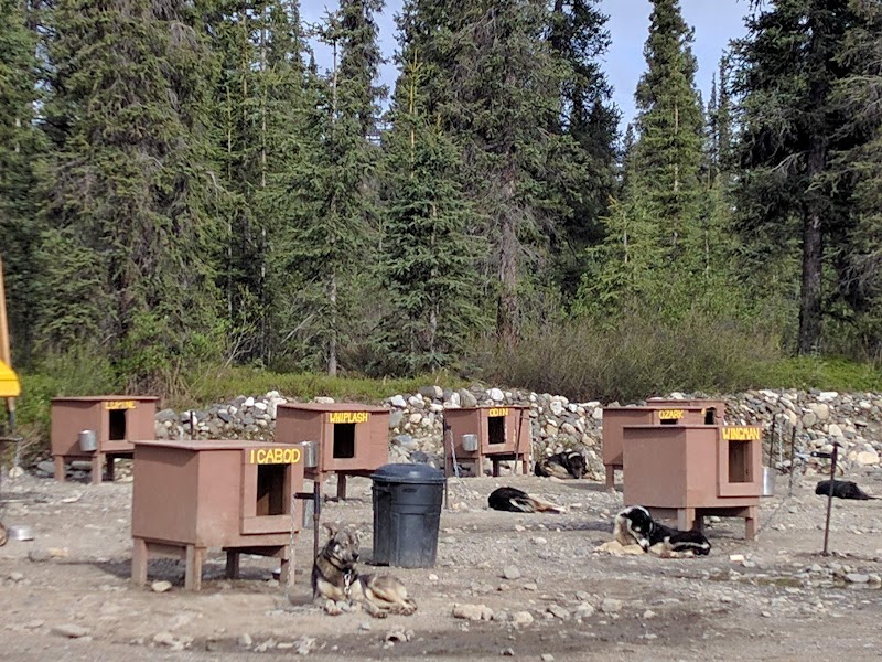 Wolf's Den Kennel - Cantwell, AK