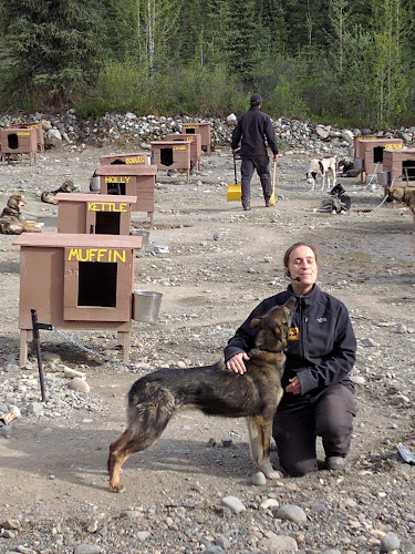 Wolf's Den Kennel