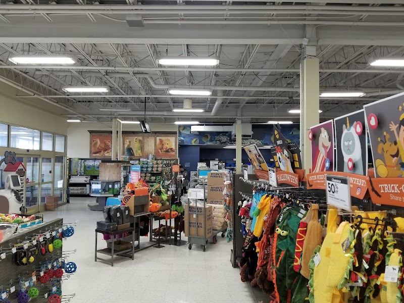 Petco - Carle Place, NY