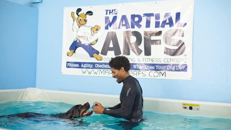 The Martial ARFS Dog Training & Fitness Center - Carle Place, NY