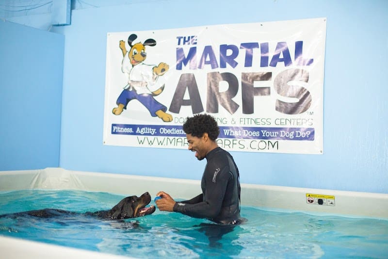 The Martial ARFS Dog Training & Fitness Center - Carle Place, NY
