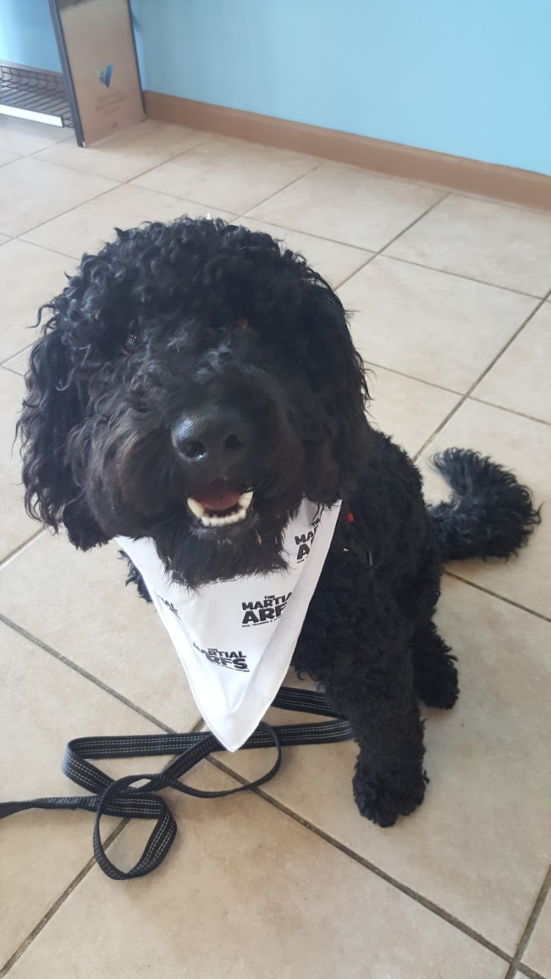 The Martial ARFS Dog Training & Fitness Center - Carle Place, NY