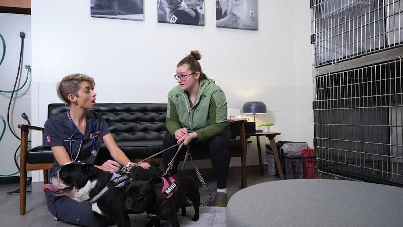 Veterinary Emergency Group - Carle Place, NY