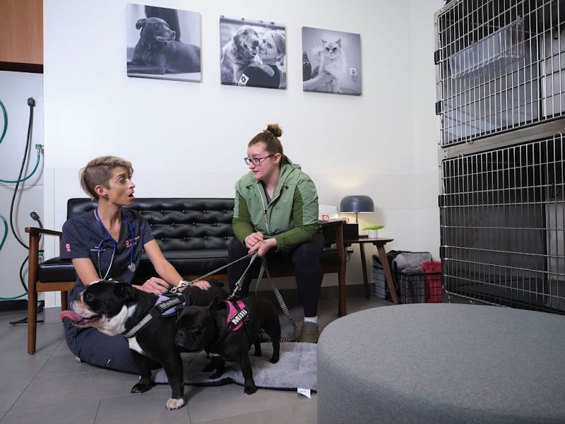 Veterinary Emergency Group - Carle Place, NY