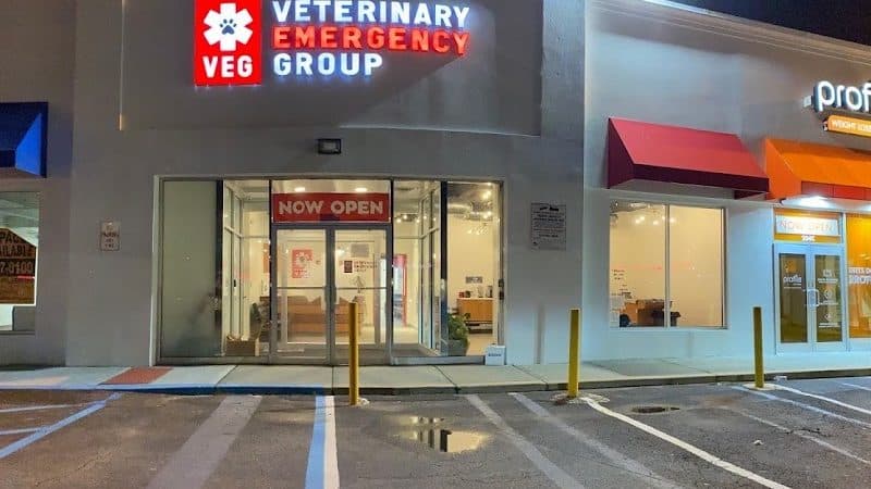 Veterinary Emergency Group - Carle Place, NY