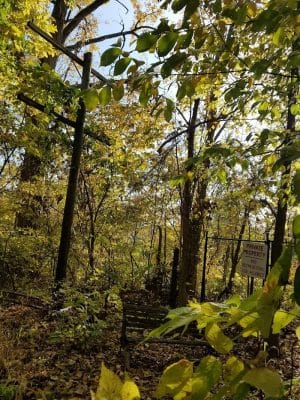 Monon Trail Access - Rohrer Road