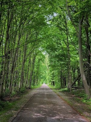 Monon Trail Access - Rohrer Road