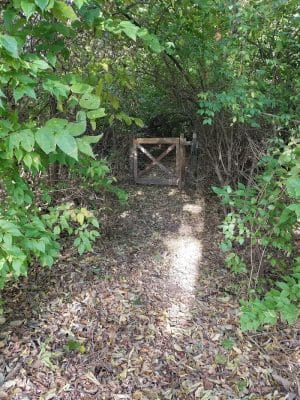 Monon Trail Access - Rohrer Road