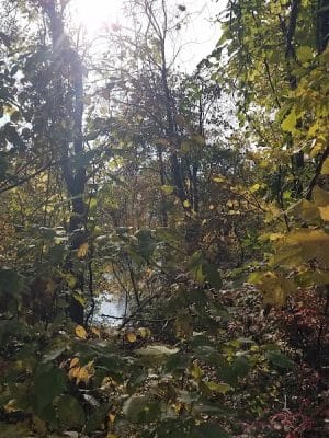 Monon Trail Access - Rohrer Road
