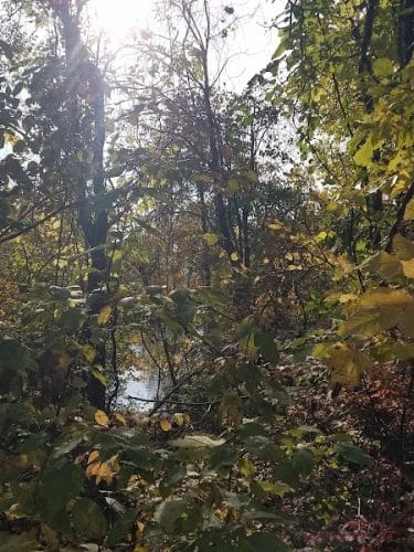 Monon Trail Access - Rohrer Road
