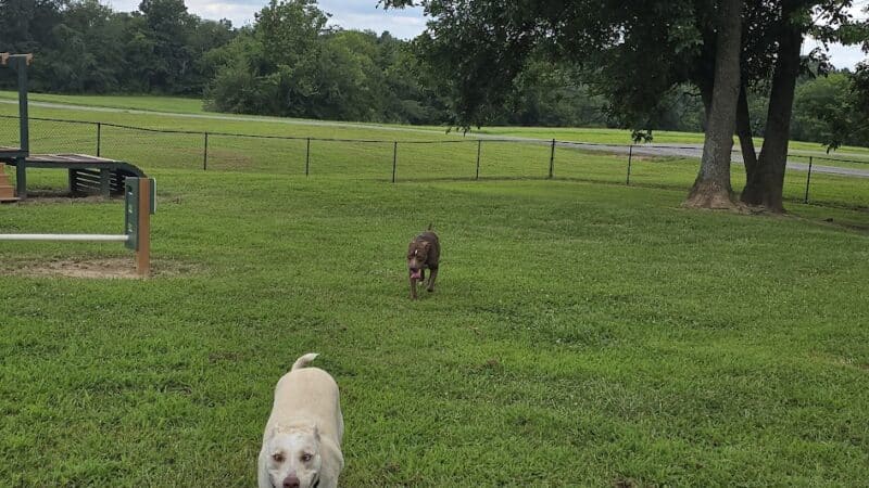 Carmi Dog Park - Carmi, IL