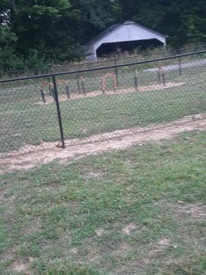 Carmi Dog Park - Carmi, IL