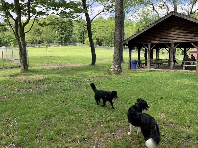 Settlers Cabin Dog Park - Carnegie, PA