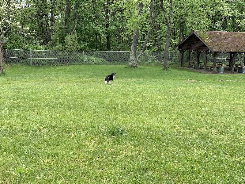 Settlers Cabin Dog Park - Carnegie, PA