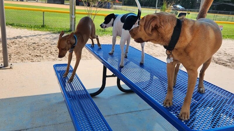 Dog Park - Carolina Beach, NC
