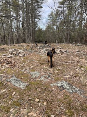 Sebago Lake State Park - Day Use Area Beach, Picnic, and Trails