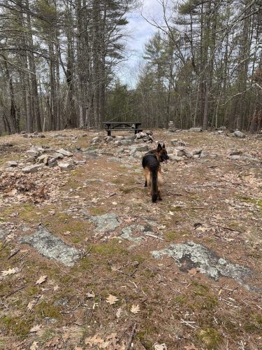 Sebago Lake State Park - Day Use Area Beach, Picnic, and Trails