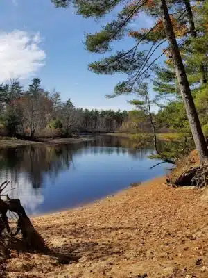 Sebago Lake State Park - Day Use Area Beach, Picnic, and Trails