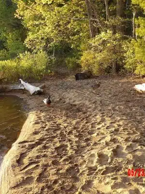 Sebago Lake State Park - Day Use Area Beach, Picnic, and Trails
