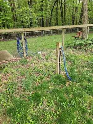 Lily Dale Dog Park - Cassadaga, NY