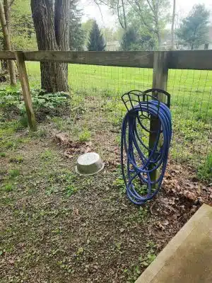 Lily Dale Dog Park - Cassadaga, NY