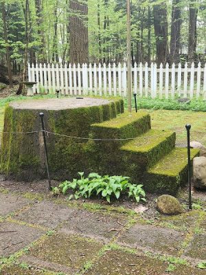 Lily Dale Dog Park - Cassadaga, NY