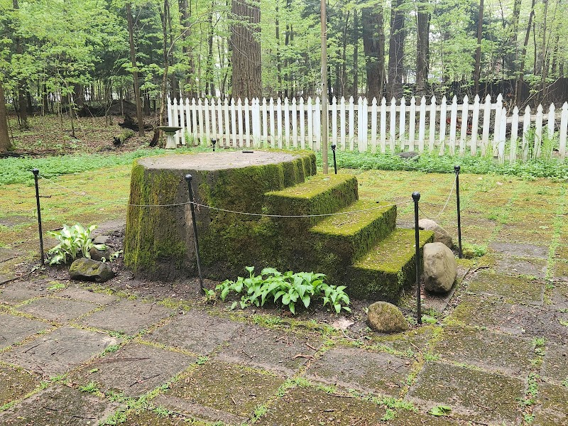 Lily Dale Dog Park - Cassadaga, NY