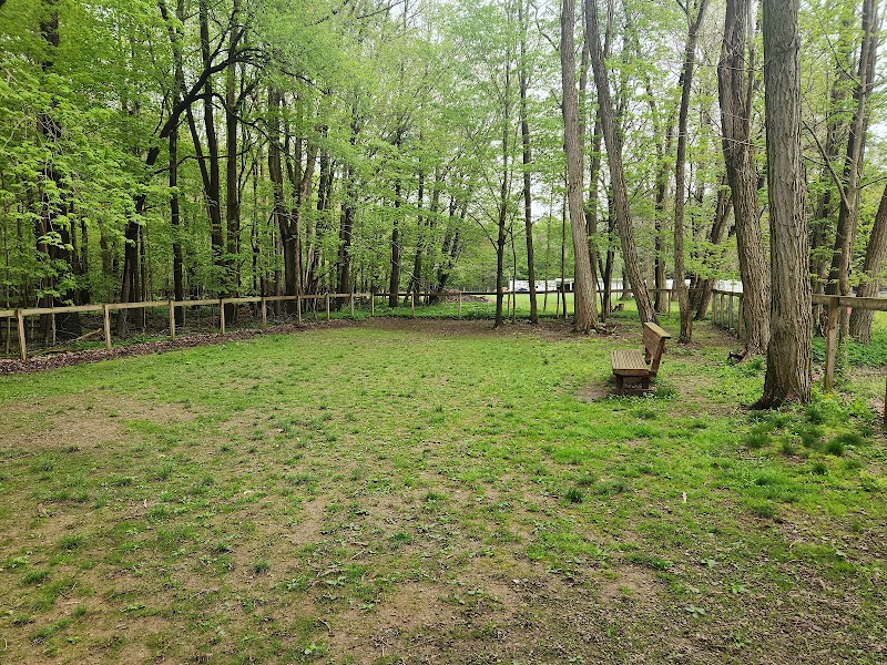 Lily Dale Dog Park - Cassadaga, NY